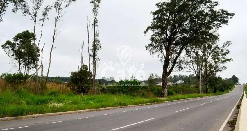 Terreno à venda na Rodovia RST-509, S N, Pé de Plátano, Santa Maria