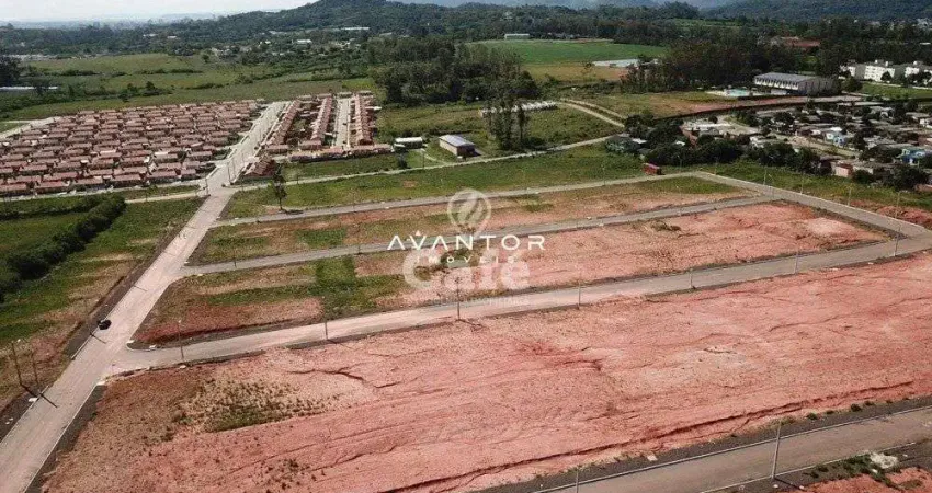 Terreno à venda Diácono João Luiz Pozzobon Santa Maria/RS