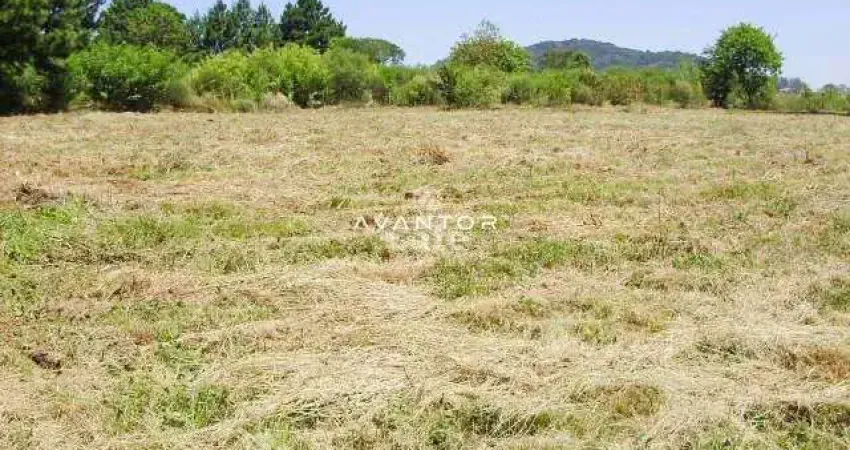 Terreno à venda na Avenida Primeira, 220, Diácono João Luiz Pozzobon, Santa Maria