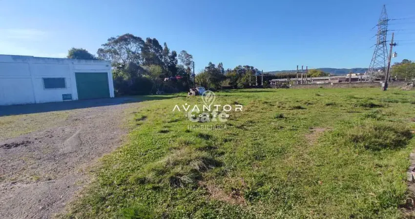 Excelente terreno em frente a BR com grande movimento diário de veículos - Consu