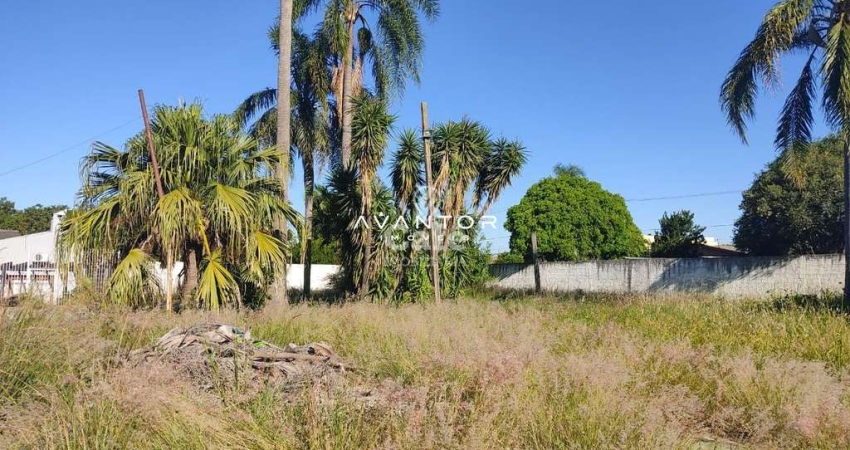 Terreno à venda na Avenida Belém, SN0, Pinheiro Machado, Santa Maria