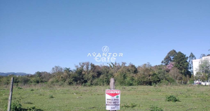 Terreno à venda na Avenida Dom Ivo Lorscheiter, s n, Passo D'Areia, Santa Maria