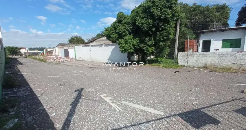 Terreno comercial para alugar na Rodovia BR-287, 900, Pinheiro Machado, Santa Maria