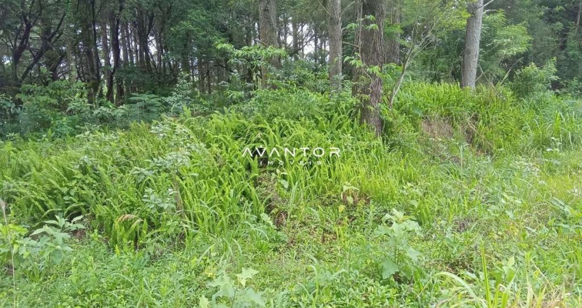 Amplo terreno a venda no bairro Perpétuo Socorro, 855 m²