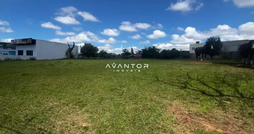 Terreno comercial à venda na Rodovia RST-287, km 232, Camobi, Santa Maria