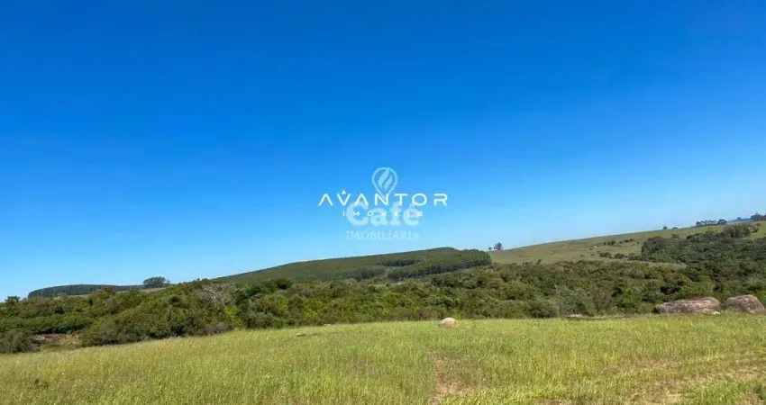 Excelente oportunidade!! Área própria para pecuária já com pastagem tendo água e