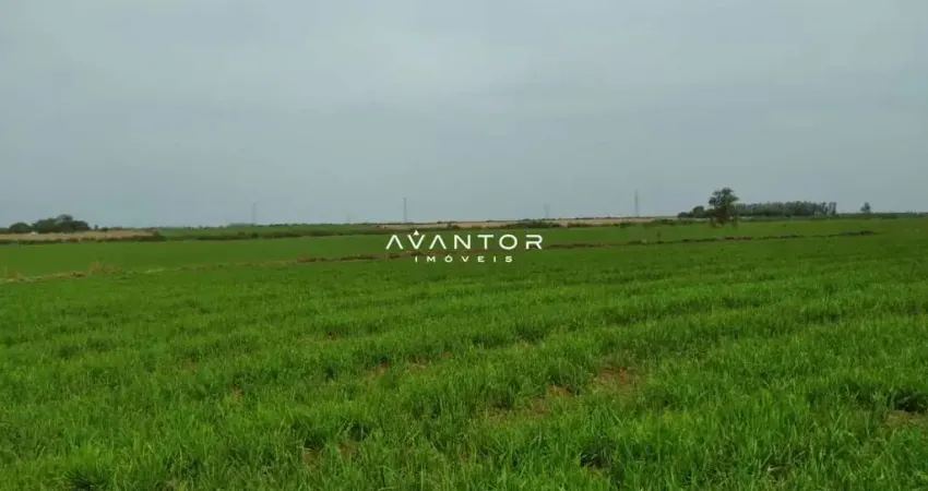 Chácara / sítio à venda na Rua General Arruda, S N, Centro, Alegrete