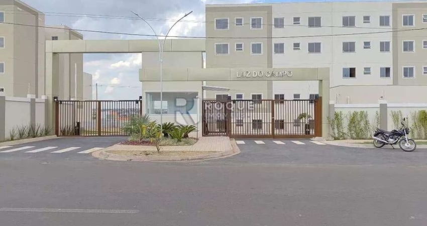 Apartamento para aluguel no bairro Fazenda Duas Barras