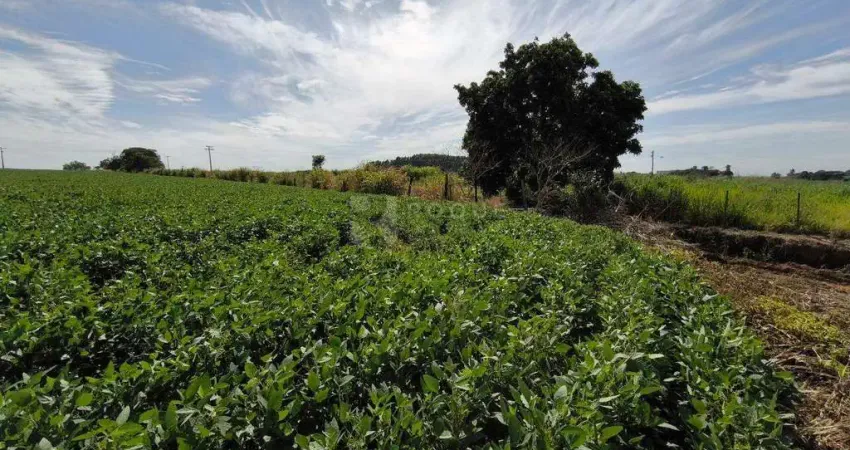 Terreno à venda no Bairro dos Lopes, Limeira 