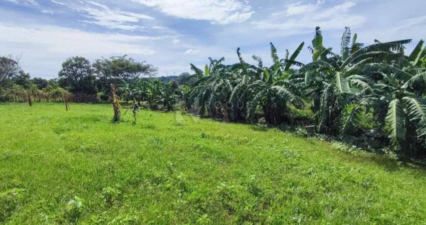 Sítio à Venda – Excelente Localização | Acesso Fácil | Terra Produtiva | 100% Independente