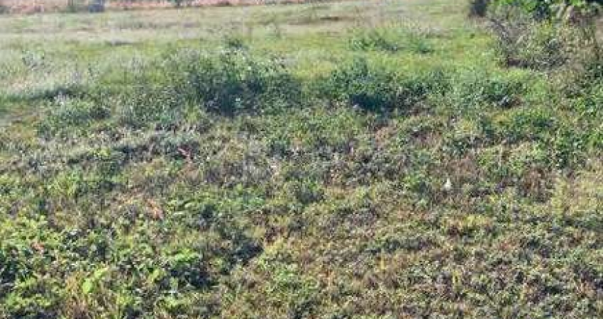 Terreno para aluguel no bairro Residencial Colinas do Engenho I