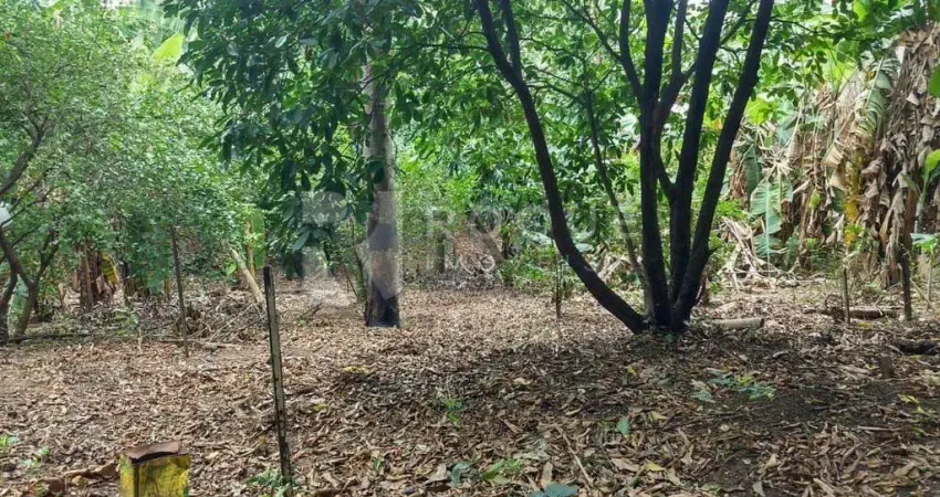 Casa com 2 quartos à venda na Vila Gioto, Limeira 