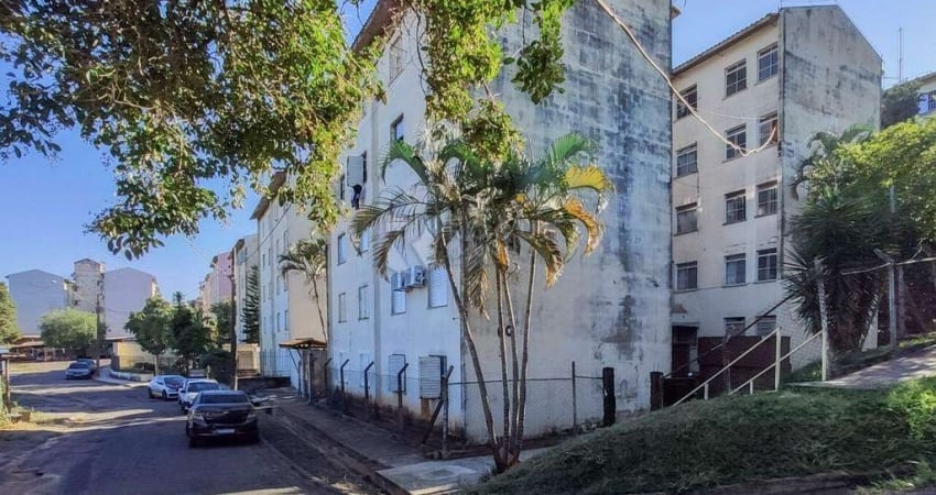 Apartamento para aluguel no bairro Jardim Olga Veroni