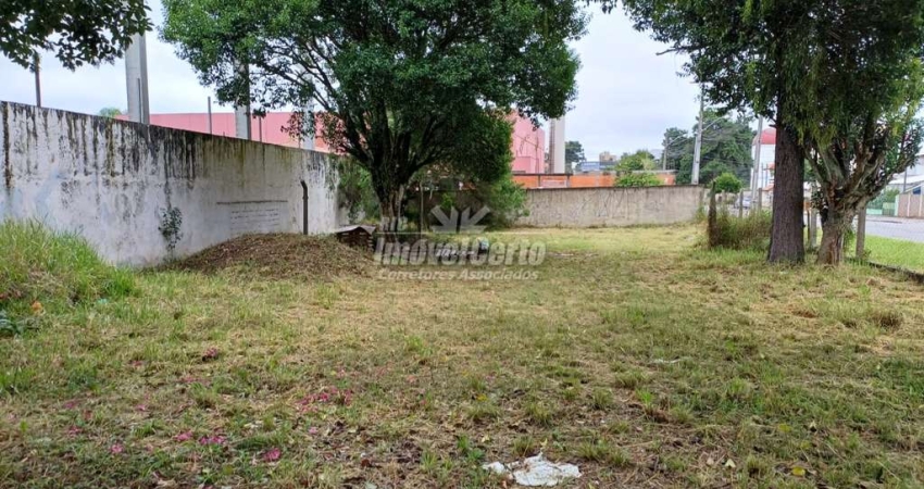 Terreno comercial à venda na Rua Todos os Santos, Weissópolis, Pinhais