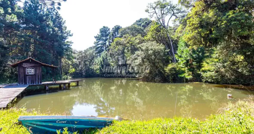 Chácara / sítio com 5 quartos à venda na Rua João Lipinski, Colônia Murici, São José dos Pinhais