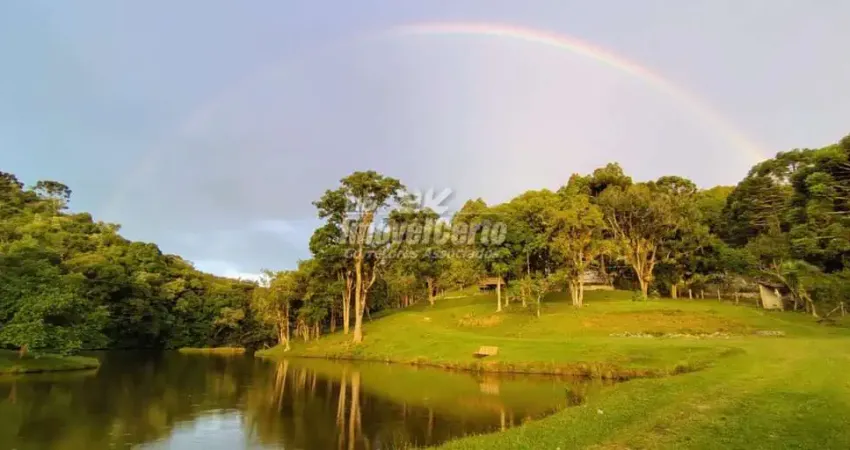 Chácara / sítio com 8 quartos à venda na Est Pedreira - Vl - Corrego Fundo, Centro, Tijucas do Sul