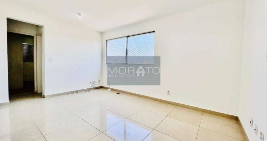 Apartamento 3 Quartos Suíte 2 Vagas Bairro Arvoredo