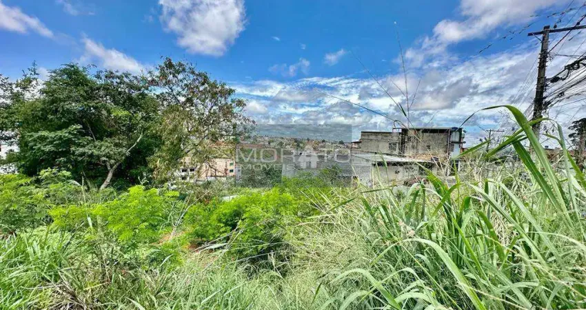 Terreno à venda na Avenida Fernão Dias, --, Jardim Laguna, Contagem