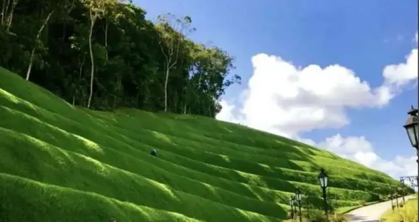 Terreno à venda na Rua Benjamin Dagnoni, Rio do Meio, Itajaí