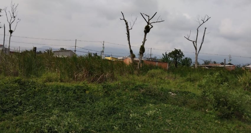 Terreno à venda na Avenida Emílio Manzano Lhorente, Balneário dos Golfinhos, Caraguatatuba