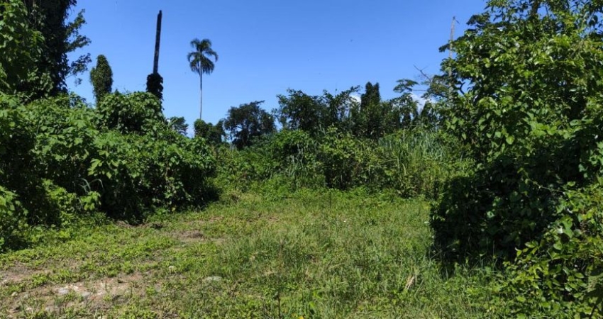 Terreno à venda no Balneário dos Golfinhos, Caraguatatuba 