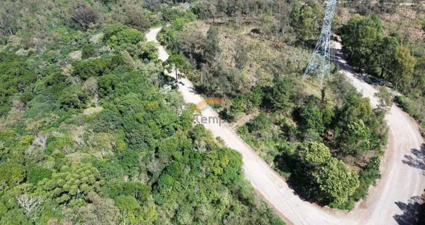 Terreno à venda na Quinto Slomp, 1, Forqueta, Caxias do Sul