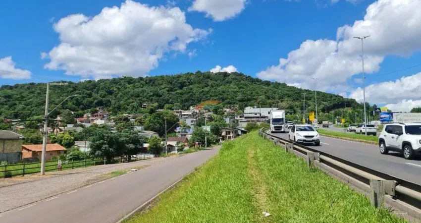 Terreno comercial à venda na Rodovia RS-239, 3620, São José, Novo Hamburgo