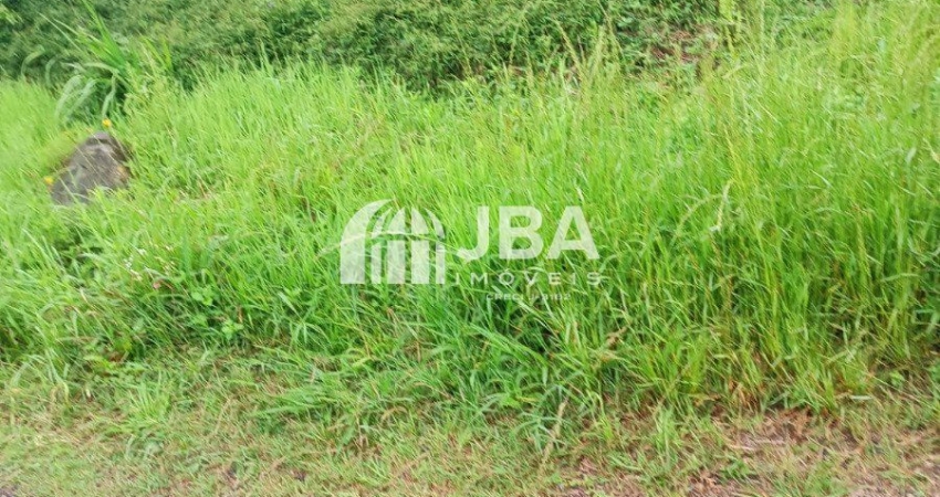 Terreno à venda na Alais De Fátima Zapf, 63, Dom Rodrigo, São José dos Pinhais