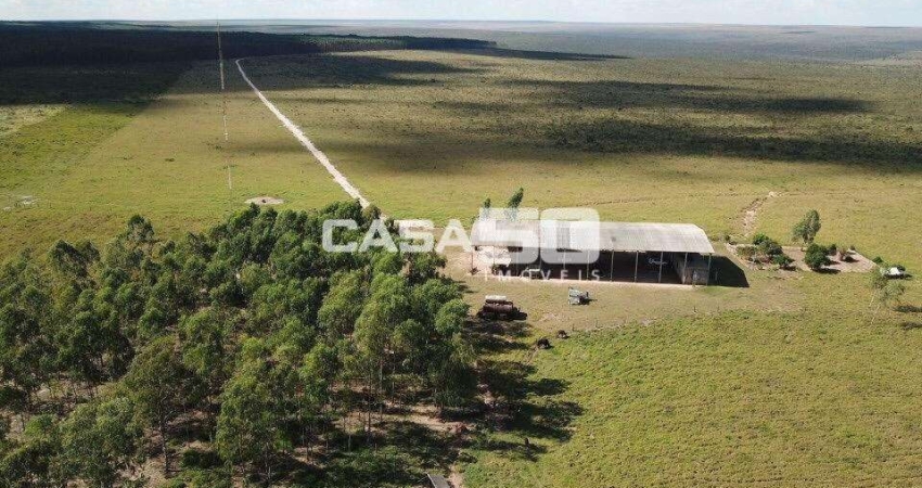 Fazenda à venda no Jardim Acacia, Tangará da Serra 