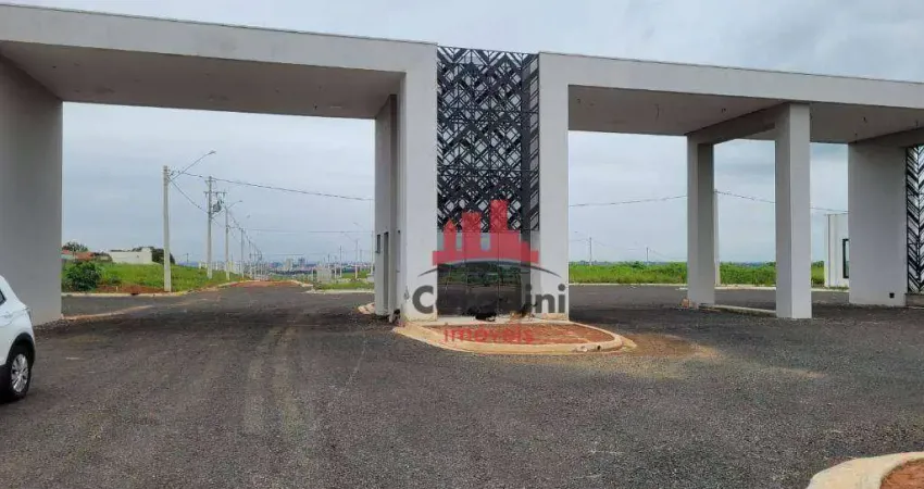 Terreno à venda, 300 m² por R$ 243.800,00 - Fazenda Velha - Nova Odessa/SP