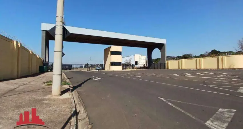 Barracão / Galpão / Depósito com 2 salas para alugar na Vila Paulista, Limeira