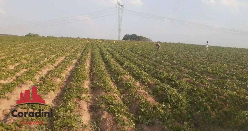 Terreno à venda na Praça Plêiades, Chácara Cruzeiro do Sul, Sumaré