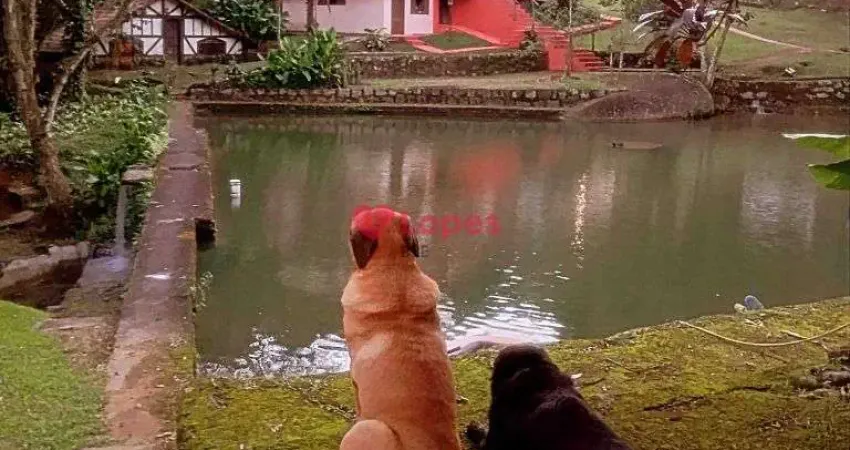 Chácara / sítio com 12 quartos à venda na Estrada do Soberbo, --, Barreira, Guapimirim