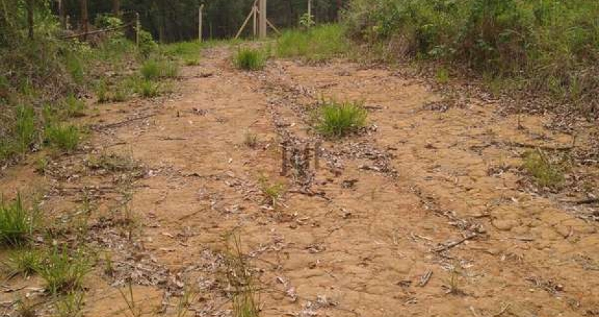 Terreno em Condomínio Terra da Mata com 1000m² pronto para construir , portaria 24 horas