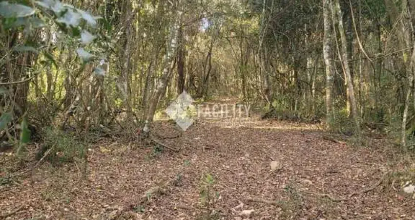 Terreno à venda na Rodovia Jose Bueno de Miranda, 100, Zona Rural, Munhoz