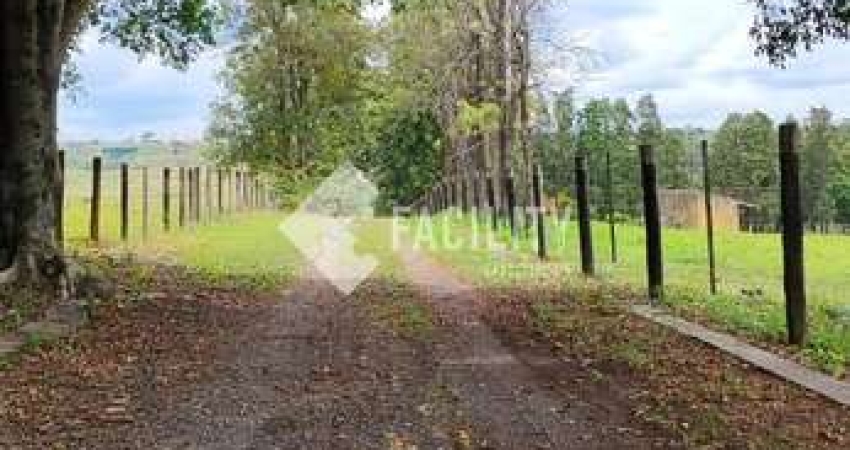 Chácara / sítio com 1 quarto à venda na Rural, 111, Área Rural de Itapetininga, Itapetininga