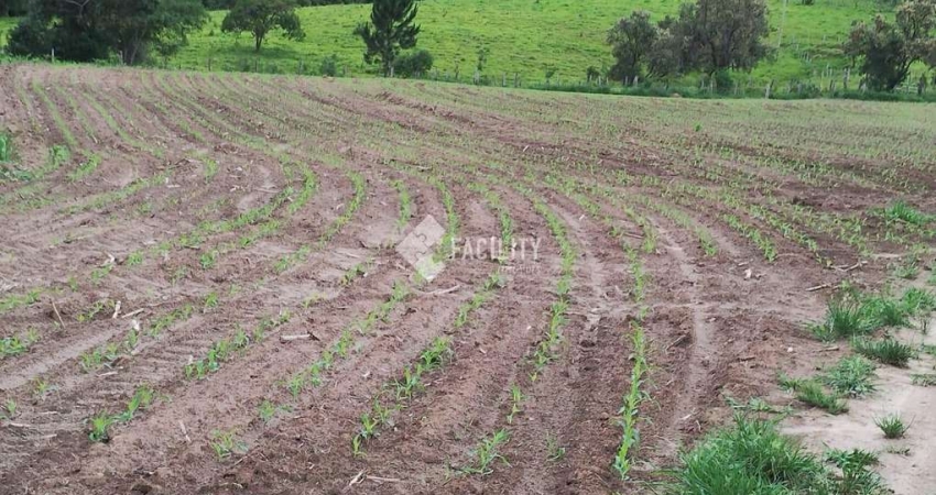 Chácara / sítio com 1 quarto à venda na Rural, 555, Área Rural de Itapetininga, Itapetininga