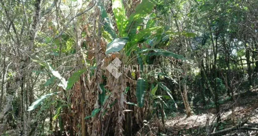 Terreno à venda na Pesqueiro do Roberto SN, SN, Congonhas, Jacutinga