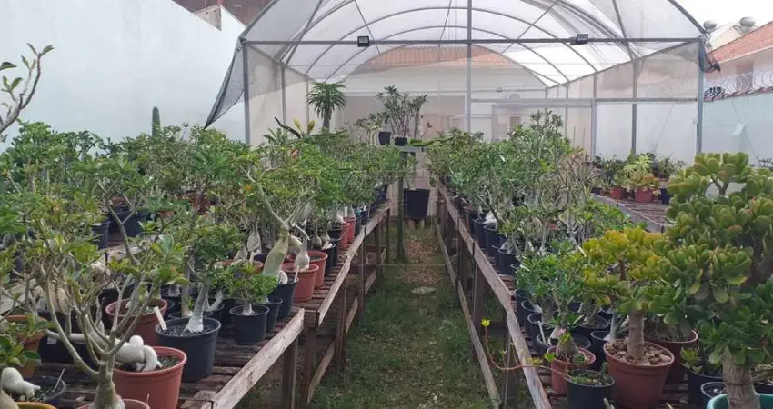 Casa comercial à venda no Palmital, Marília 