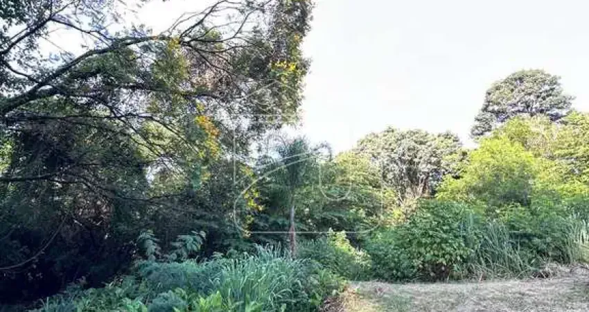 Chácara / sítio com 2 quartos à venda no Jardim Virgínia, Marília