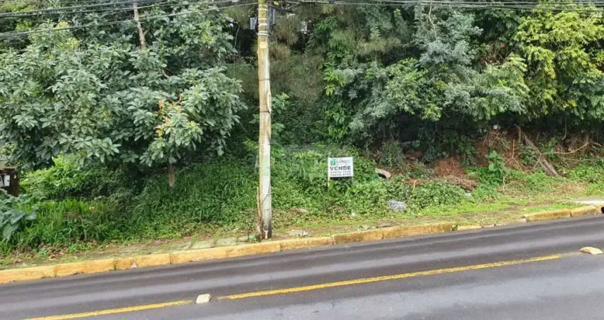 Terreno com excelente localização, imediações da av. Maurício Cardoso
