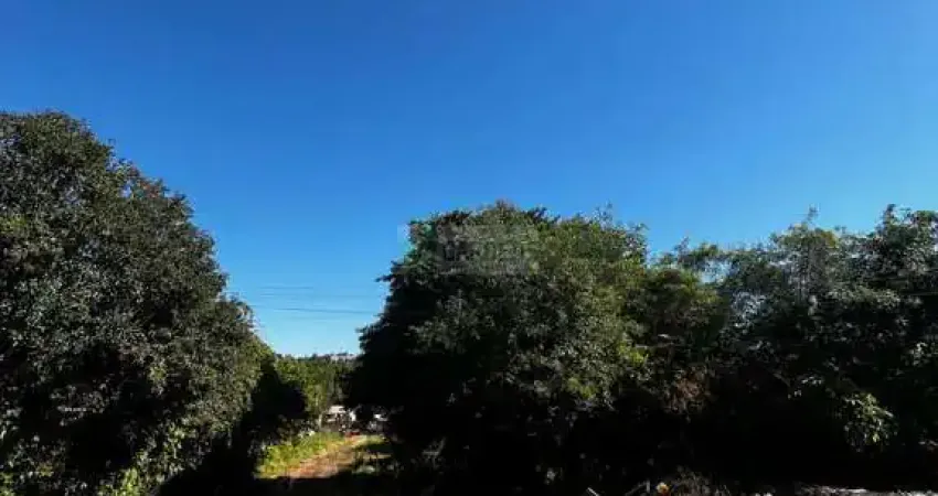 Terreno à venda no Primavera, Novo Hamburgo 