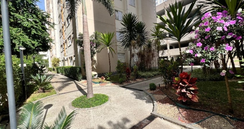 Apartamento à Venda 305 mil Grand Reserva MRV 2 quartos Pirituba