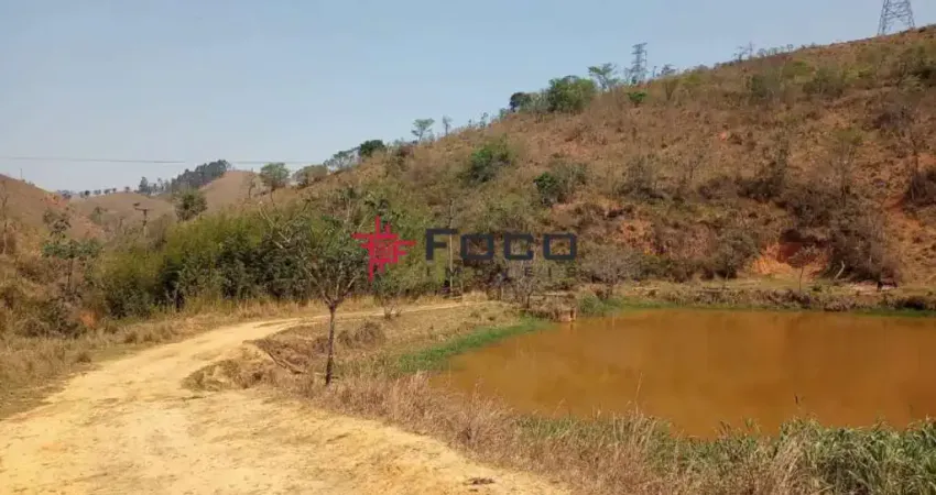 Fazenda de Eucalipto  e de Gado / 337 hectares / 02 casas (principal e empregados )  Escriturada / Areias - SP