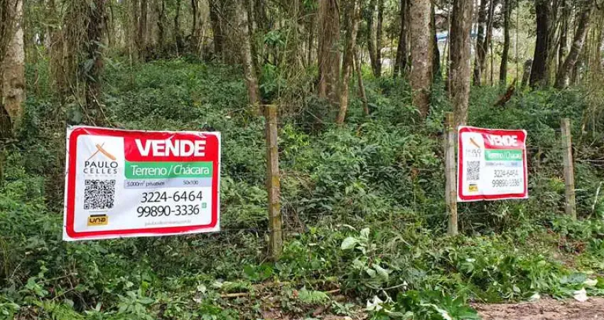 Chácara / sítio à venda na Rua José Martinez Cano, 58, Planta Granjas Eldorado, Piraquara