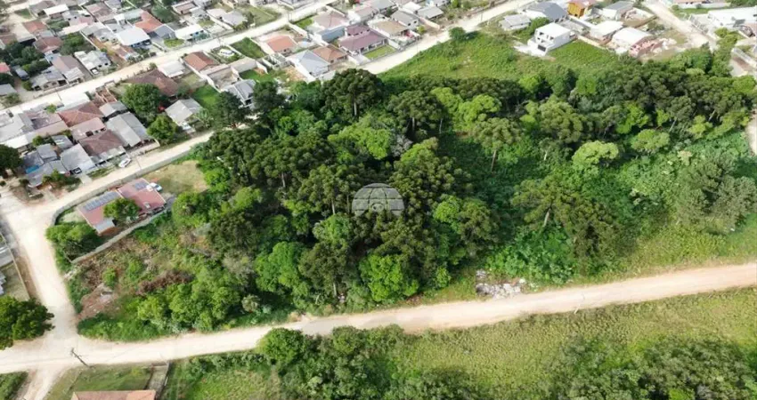 Terreno à venda na Rua Nagibe Américo Gabardo, 110, Jardim Maria Luíza, Almirante Tamandaré