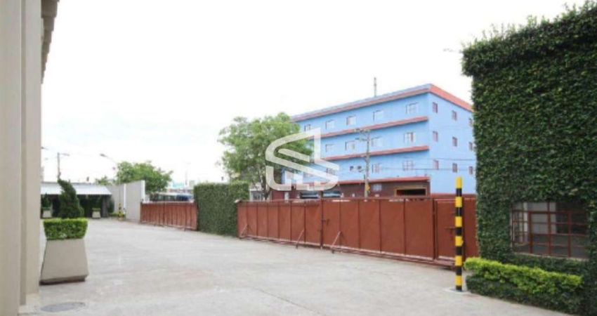 Galpao para alugar, 2599 m2 por R$ 120.000,00 - Parque Novo Mundo - Sao Paulo/SP