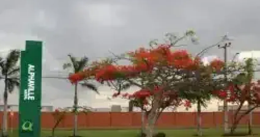 84 9.9982.5105 sou um terreno privilegiado no alphaville catuana e custo r$ 484 mil! 84 9.9614.8677