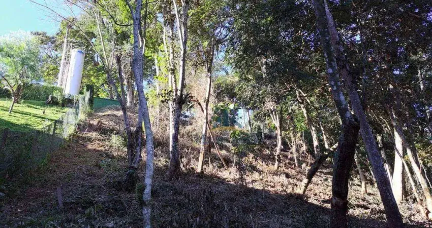 Terreno à venda por R$ 295.000,00 - Nogueira - Petrópolis/RJ