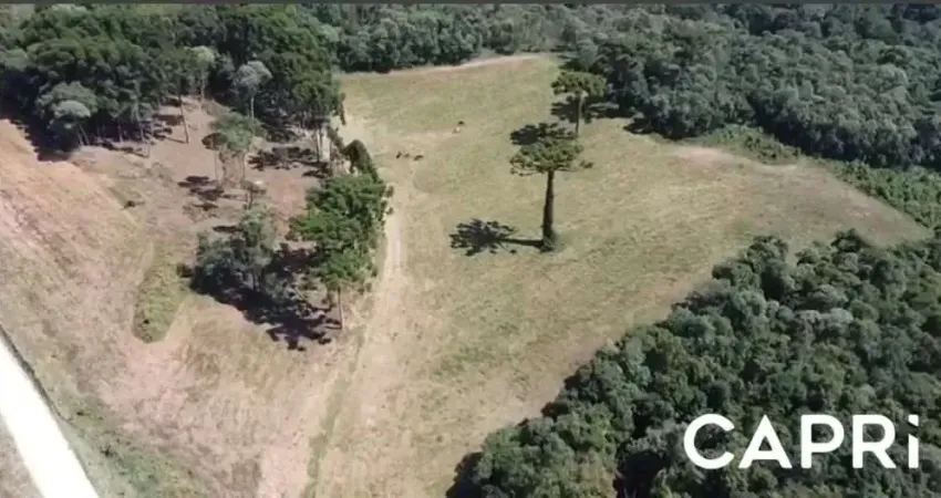 Terreno à venda na Pedro Carlos Ansolim, Jardim Bela Vista, Campo Largo